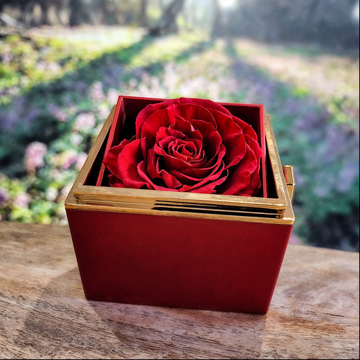 Chapters Cross - Daughter Birthday Necklace with Rose Box